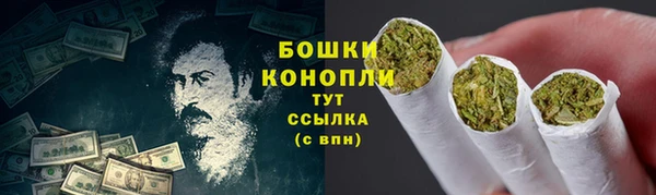 дмт Елабуга