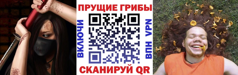 Псилоцибиновые грибы мухоморы  ОМГ ОМГ ТОР  Каргополь 